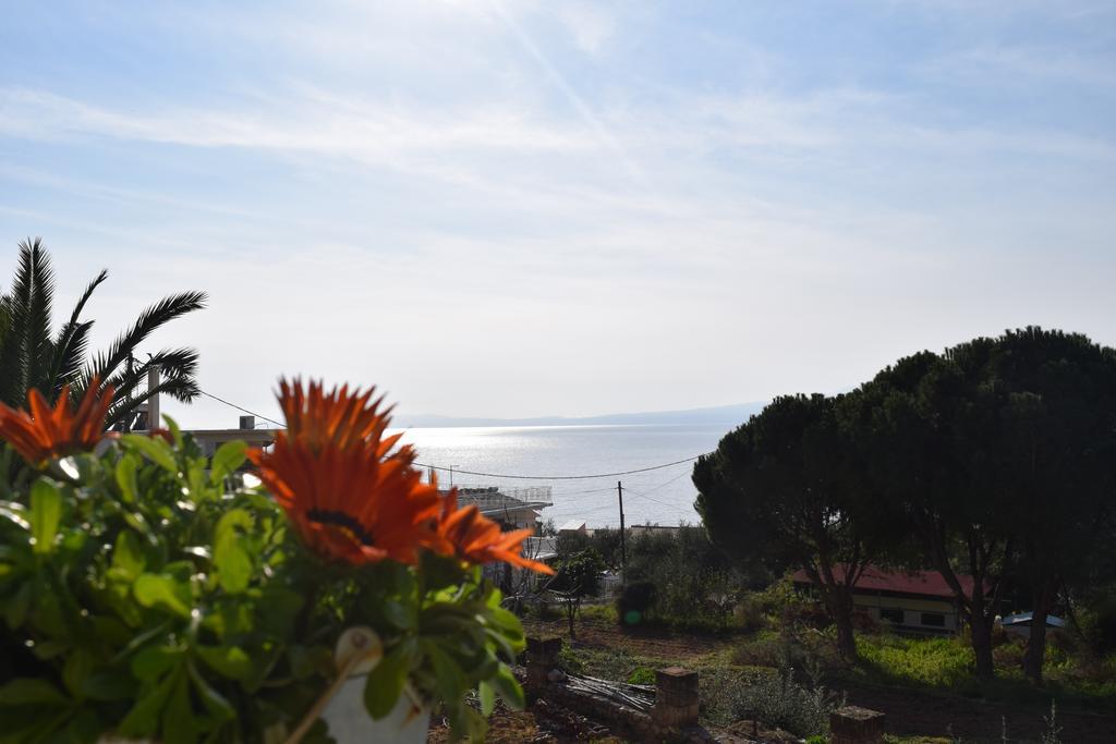 Petra Thea Apartment Kalamata Esterno foto